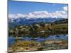 Kesugi Ridge, Denali National Park, Alaska, USA-Scott T. Smith-Mounted Photographic Print