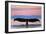 Ketchikan, Alaska - Humpback Fluke and Sunset-Lantern Press-Framed Premium Giclee Print