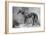 'Kettledrum', c1860s, (1911)-Unknown-Framed Giclee Print