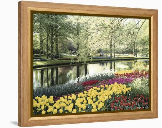 Keukenhof Gardens, Lissa, Netherlands-null-Framed Premier Image Canvas