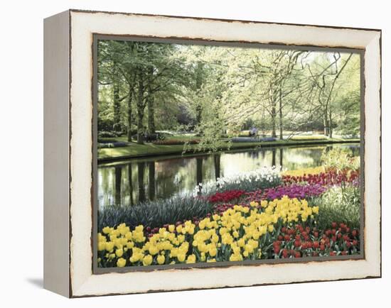 Keukenhof Gardens, Lissa, Netherlands-null-Framed Premier Image Canvas