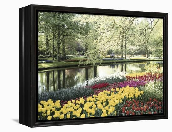 Keukenhof Gardens, Lissa, Netherlands-null-Framed Premier Image Canvas