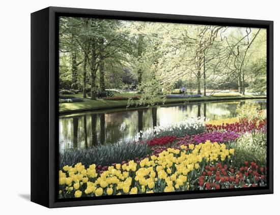 Keukenhof Gardens, Lissa, Netherlands-null-Framed Premier Image Canvas