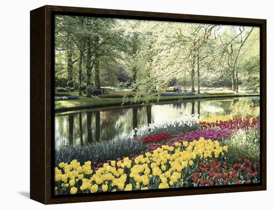 Keukenhof Gardens, Lissa, Netherlands-null-Framed Premier Image Canvas