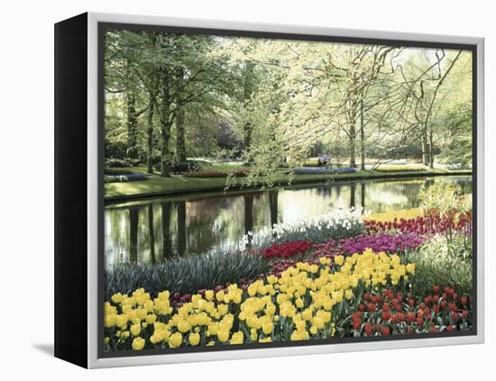 Keukenhof Gardens, Lissa, Netherlands-null-Framed Premier Image Canvas