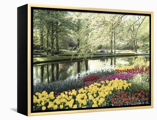 Keukenhof Gardens, Lissa, Netherlands-null-Framed Premier Image Canvas