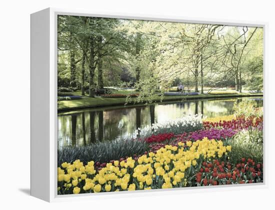 Keukenhof Gardens, Lissa, Netherlands-null-Framed Premier Image Canvas