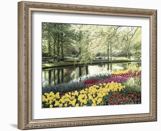 Keukenhof Gardens, Lissa, Netherlands-null-Framed Photographic Print