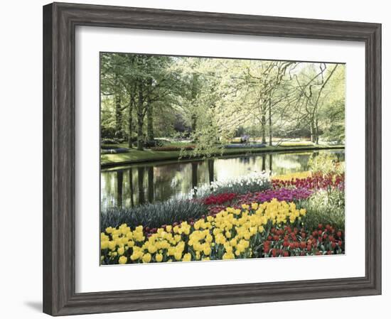 Keukenhof Gardens, Lissa, Netherlands-null-Framed Photographic Print