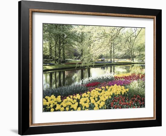 Keukenhof Gardens, Lissa, Netherlands-null-Framed Photographic Print