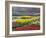 Keukenhof Gardens, Lisse, Netherlands, Holland-Adam Jones-Framed Photographic Print