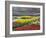 Keukenhof Gardens, Lisse, Netherlands, Holland-Adam Jones-Framed Photographic Print