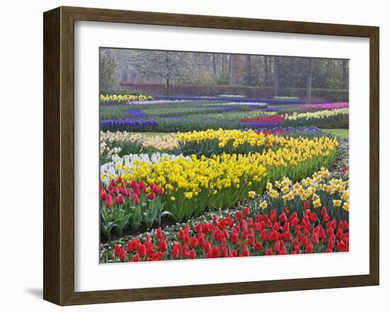 Keukenhof Gardens, Lisse, Netherlands, Holland-Adam Jones-Framed Photographic Print