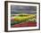 Keukenhof Gardens, Lisse, Netherlands, Holland-Adam Jones-Framed Photographic Print