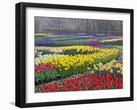 Keukenhof Gardens, Lisse, Netherlands, Holland-Adam Jones-Framed Photographic Print