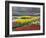 Keukenhof Gardens, Lisse, Netherlands, Holland-Adam Jones-Framed Photographic Print