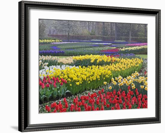 Keukenhof Gardens, Lisse, Netherlands, Holland-Adam Jones-Framed Photographic Print