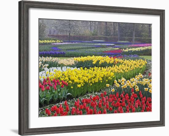 Keukenhof Gardens, Lisse, Netherlands, Holland-Adam Jones-Framed Photographic Print