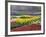 Keukenhof Gardens, Lisse, Netherlands, Holland-Adam Jones-Framed Photographic Print