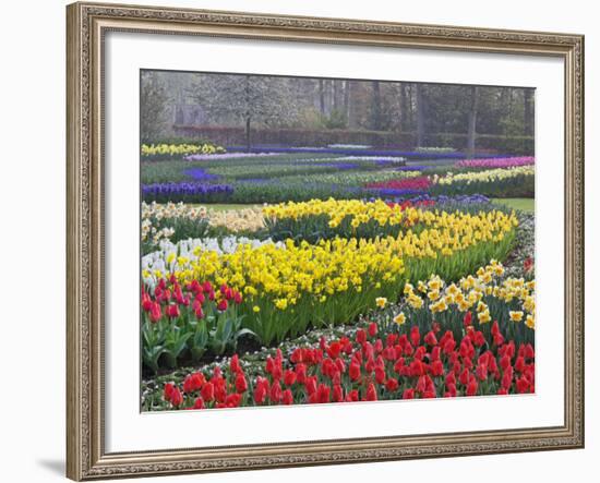 Keukenhof Gardens, Lisse, Netherlands, Holland-Adam Jones-Framed Photographic Print