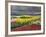 Keukenhof Gardens, Lisse, Netherlands, Holland-Adam Jones-Framed Photographic Print