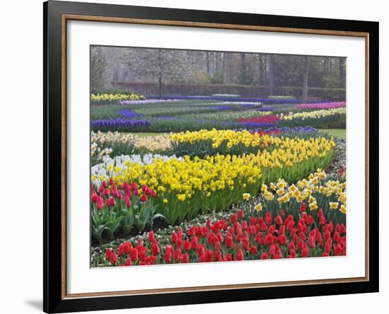 Keukenhof Gardens, Lisse, Netherlands, Holland-Adam Jones-Framed Photographic Print