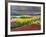 Keukenhof Gardens, Lisse, Netherlands, Holland-Adam Jones-Framed Photographic Print