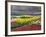 Keukenhof Gardens, Lisse, Netherlands, Holland-Adam Jones-Framed Photographic Print