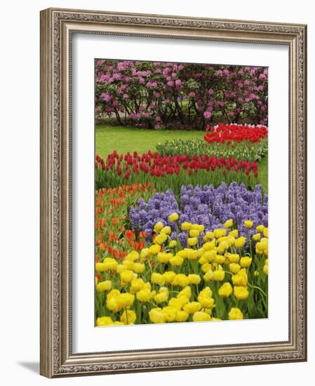 Keukenhof Gardens, Lisse, Netherlands, Holland-Adam Jones-Framed Photographic Print