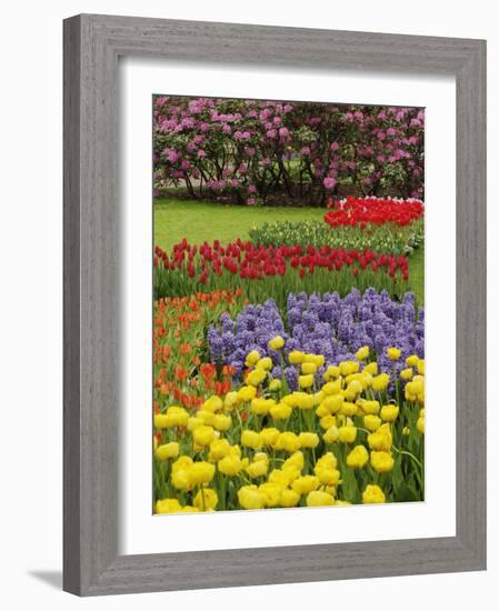 Keukenhof Gardens, Lisse, Netherlands, Holland-Adam Jones-Framed Photographic Print