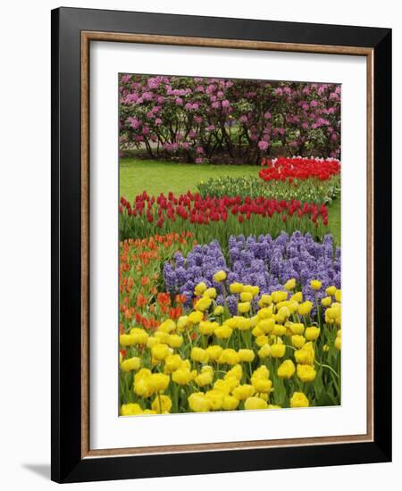 Keukenhof Gardens, Lisse, Netherlands, Holland-Adam Jones-Framed Photographic Print