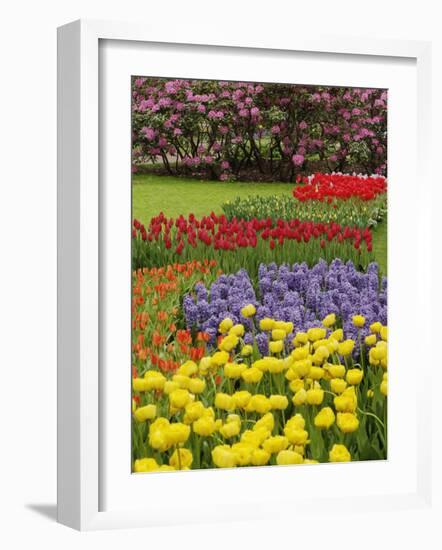 Keukenhof Gardens, Lisse, Netherlands, Holland-Adam Jones-Framed Photographic Print