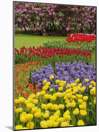 Keukenhof Gardens, Lisse, Netherlands, Holland-Adam Jones-Mounted Photographic Print