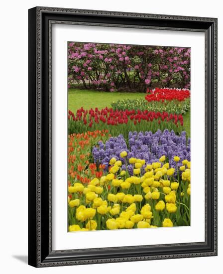 Keukenhof Gardens, Lisse, Netherlands, Holland-Adam Jones-Framed Photographic Print