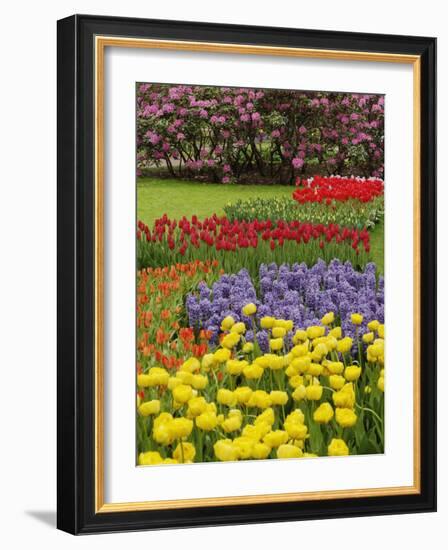 Keukenhof Gardens, Lisse, Netherlands, Holland-Adam Jones-Framed Photographic Print