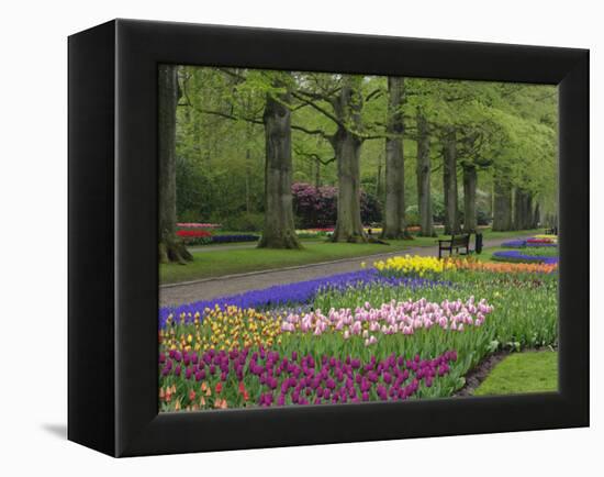 Keukenhof Gardens, Lisse, Netherlands, Holland-Adam Jones-Framed Premier Image Canvas