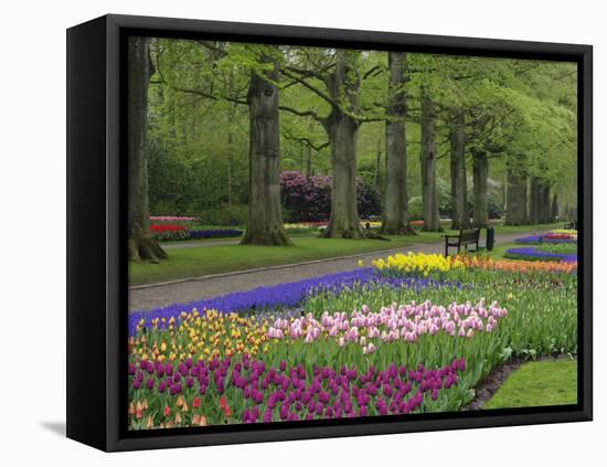 Keukenhof Gardens, Lisse, Netherlands, Holland-Adam Jones-Framed Premier Image Canvas