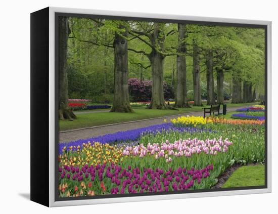 Keukenhof Gardens, Lisse, Netherlands, Holland-Adam Jones-Framed Premier Image Canvas