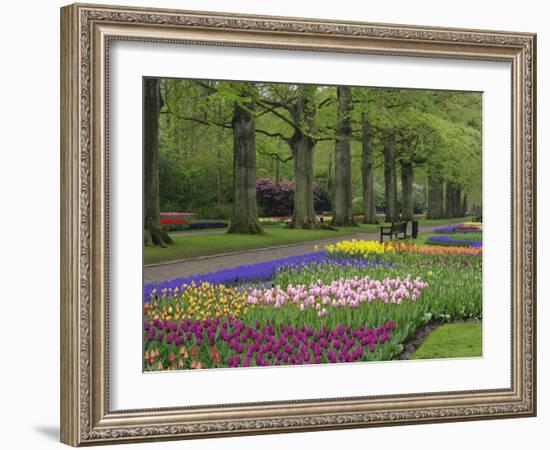 Keukenhof Gardens, Lisse, Netherlands, Holland-Adam Jones-Framed Photographic Print