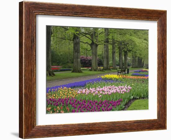 Keukenhof Gardens, Lisse, Netherlands, Holland-Adam Jones-Framed Photographic Print