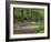 Keukenhof Gardens, Lisse, Netherlands, Holland-Adam Jones-Framed Photographic Print