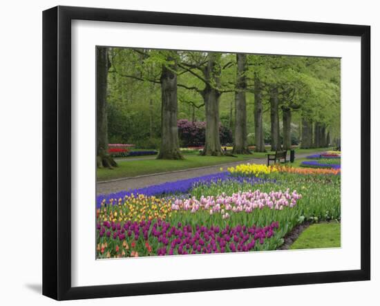 Keukenhof Gardens, Lisse, Netherlands, Holland-Adam Jones-Framed Photographic Print