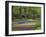 Keukenhof Gardens, Lisse, Netherlands, Holland-Adam Jones-Framed Photographic Print