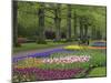 Keukenhof Gardens, Lisse, Netherlands, Holland-Adam Jones-Mounted Photographic Print