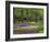 Keukenhof Gardens, Lisse, Netherlands, Holland-Adam Jones-Framed Photographic Print