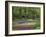 Keukenhof Gardens, Lisse, Netherlands, Holland-Adam Jones-Framed Photographic Print