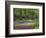 Keukenhof Gardens, Lisse, Netherlands, Holland-Adam Jones-Framed Photographic Print