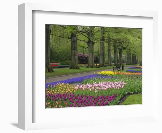 Keukenhof Gardens, Lisse, Netherlands, Holland-Adam Jones-Framed Photographic Print