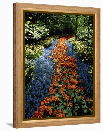 Keukenhof Gardens, Lisse, Netherlands-null-Framed Premier Image Canvas