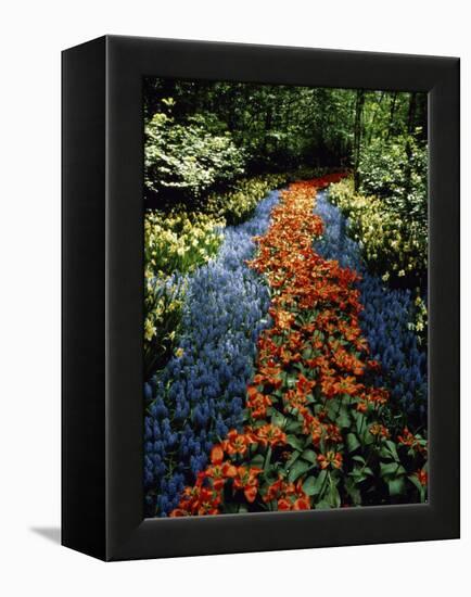 Keukenhof Gardens, Lisse, Netherlands-null-Framed Premier Image Canvas